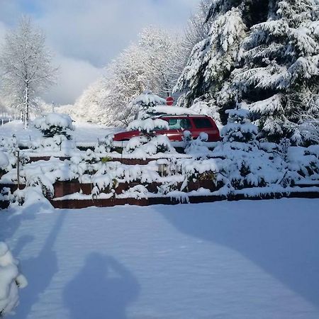 Ferienhaus Rosemarie Breungeshain Exteriér fotografie
