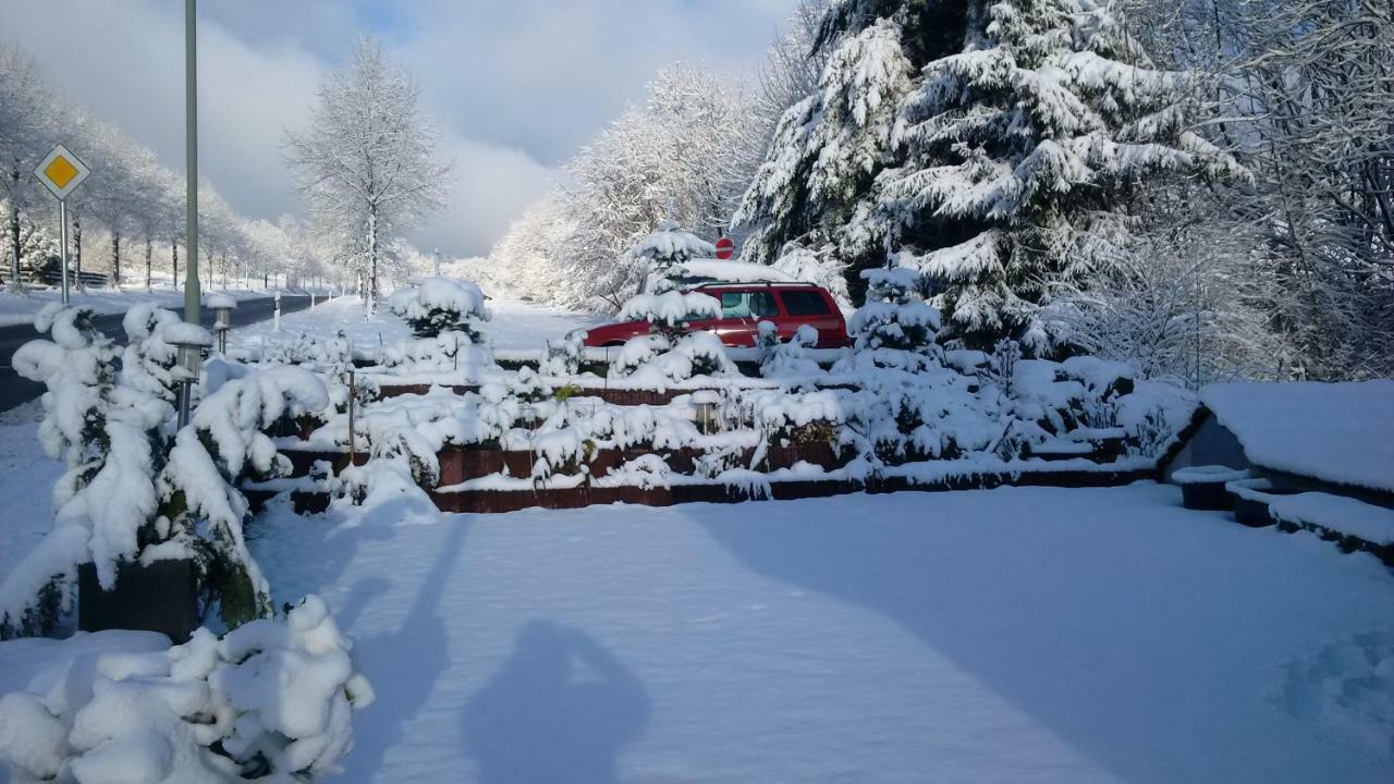 Ferienhaus Rosemarie Breungeshain Exteriér fotografie