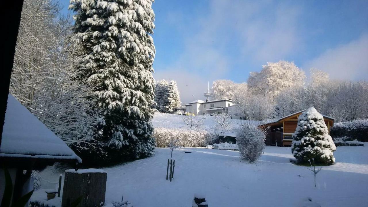 Ferienhaus Rosemarie Breungeshain Exteriér fotografie